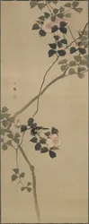 Wild Rose and a Bird, Edo period